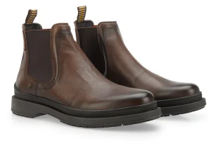 Ambitious Santi 12317 7129AM - Brown