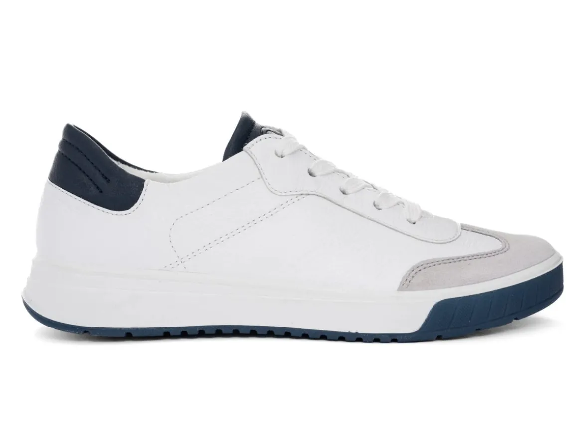 ara__rom__white_blue_0.webp Ara 12-50006-04 Rom - White Blue