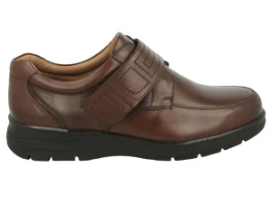 DB Easy B Bahamas - Brown