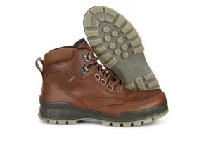 Ecco Gore-Tex Track 25 M 831704 52600 - Brown