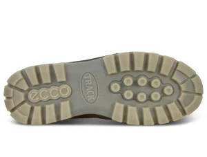 Ecco Gore-Tex Track 25 M 831704 52600 - Brown