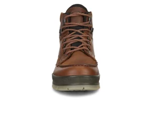 Ecco Gore-Tex Track 25 M 831704 52600 - Brown