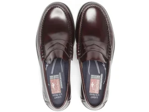 Fluchos Stamford F0047 - Burgandy