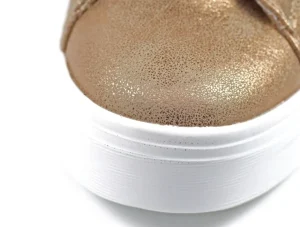 Lunar Xenon DLB052 - Gold Truffle